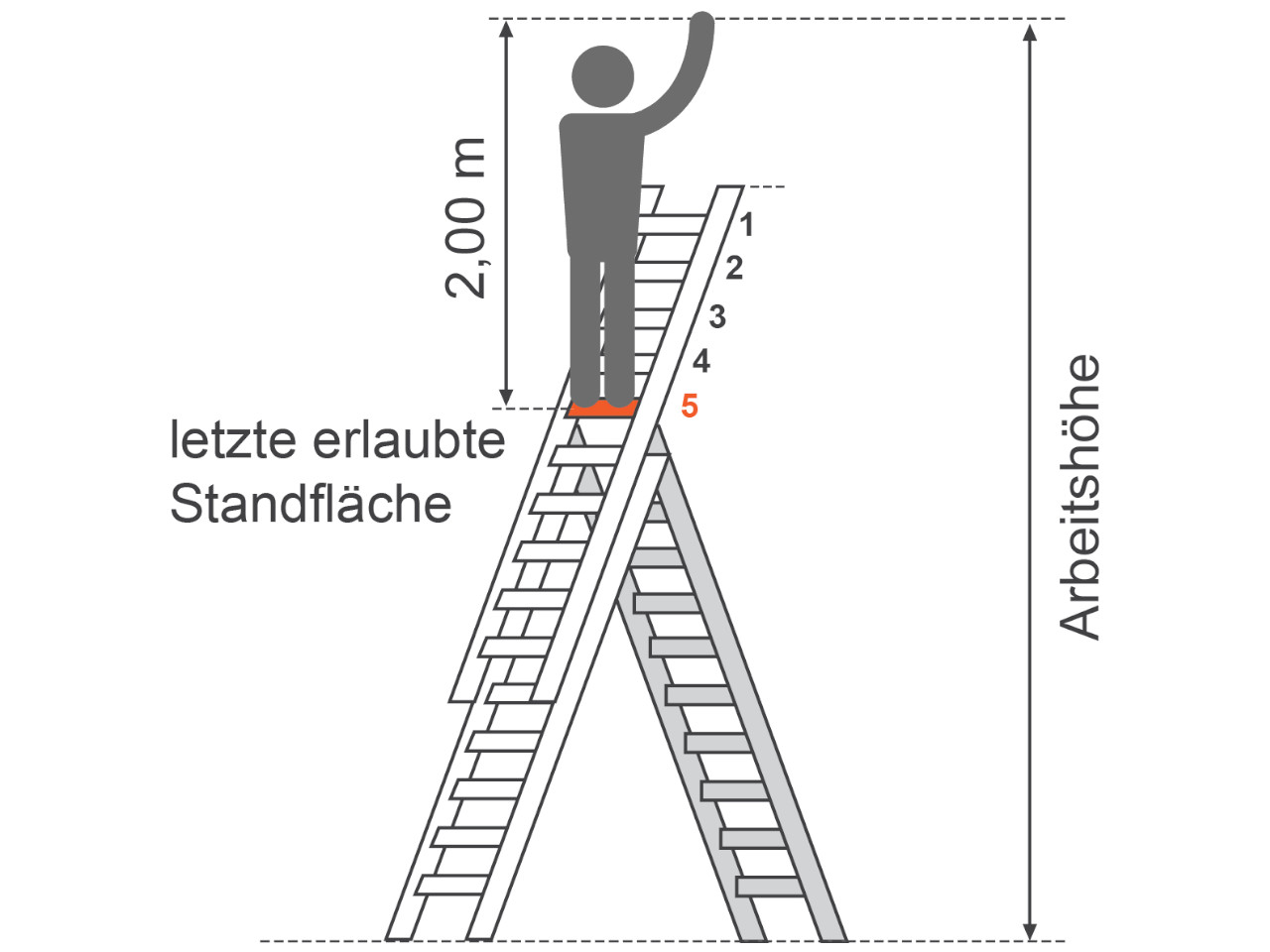 piktogramm der standhoehe und arbeitshoehe bei einer mehrzweckleiter - angabe der letzten begehbaren sprosse oder stufe